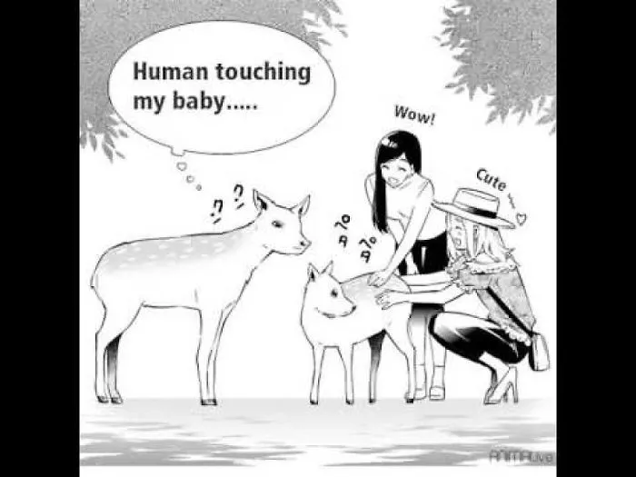 Don’t Touch Wild Animals!
