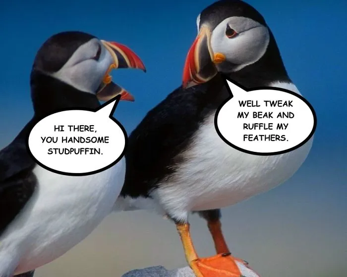 Light My Fire: Make These Two Birds Talk To Each Other