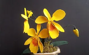 Laeliocattleya Orchid In Yellow