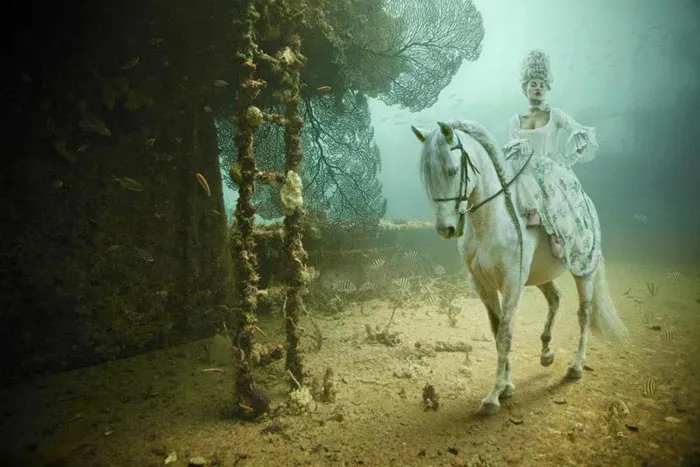 Unbelievable Shots Of A Photographic Exhibition Under The Sea