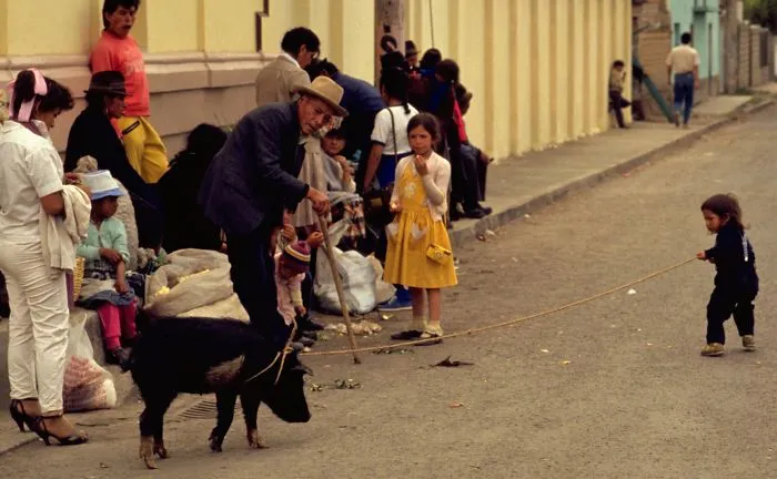 Street scene with children and goat illustrating kids can't be left alone
