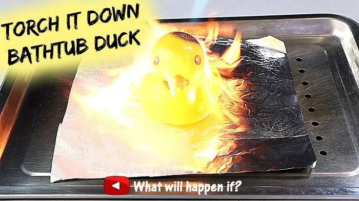 Donald The Duck-torch It Down