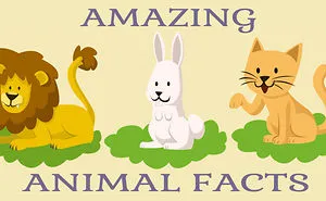 10 Unknown Animal Facts That May Surprise You