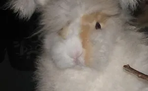 If You Think I'm Cute....