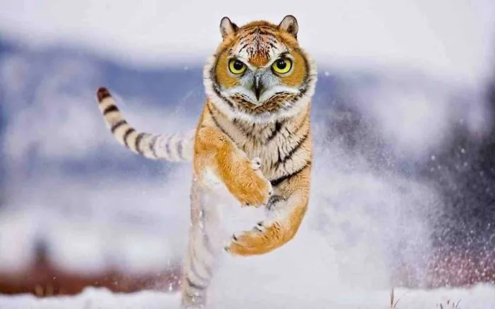 Photoshopped Hybrid Animals – Part 3