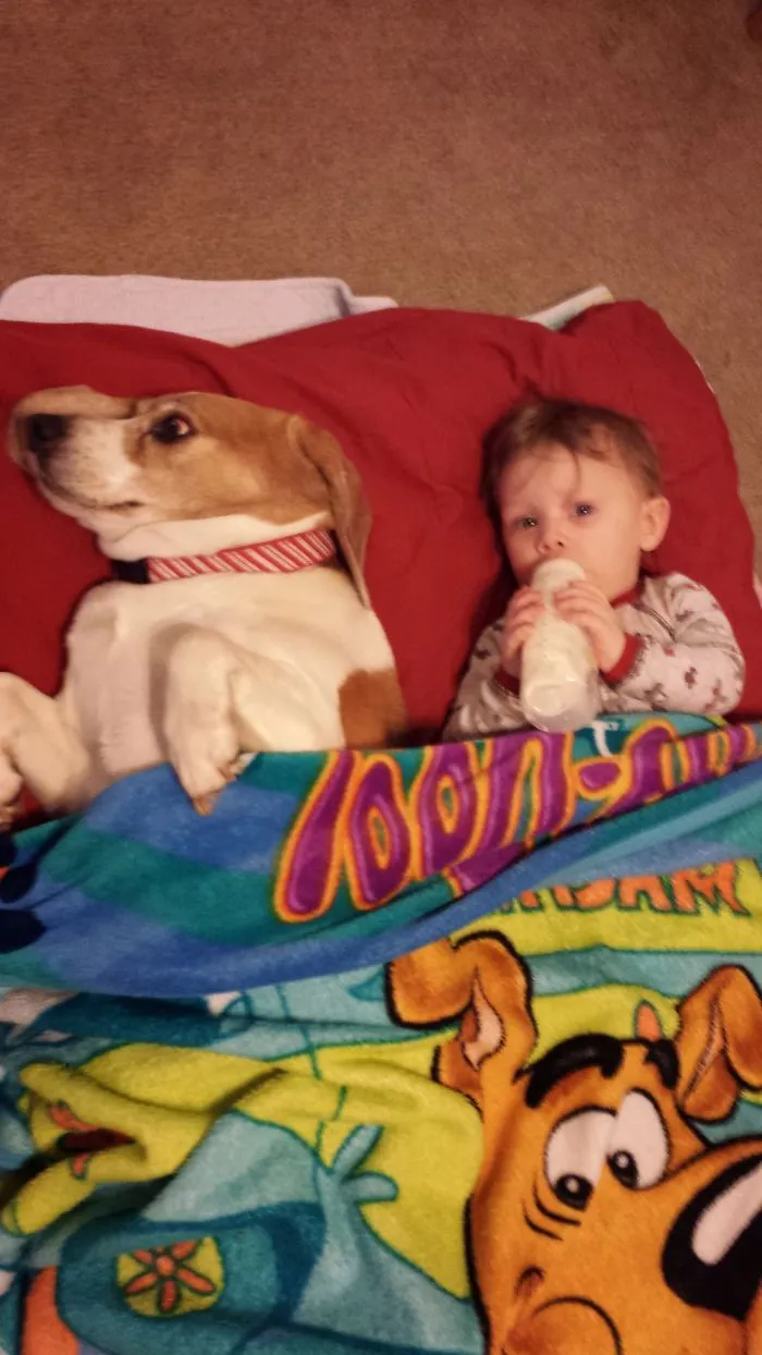 Who's The Baby.......i Think It's The One With The Bottle!