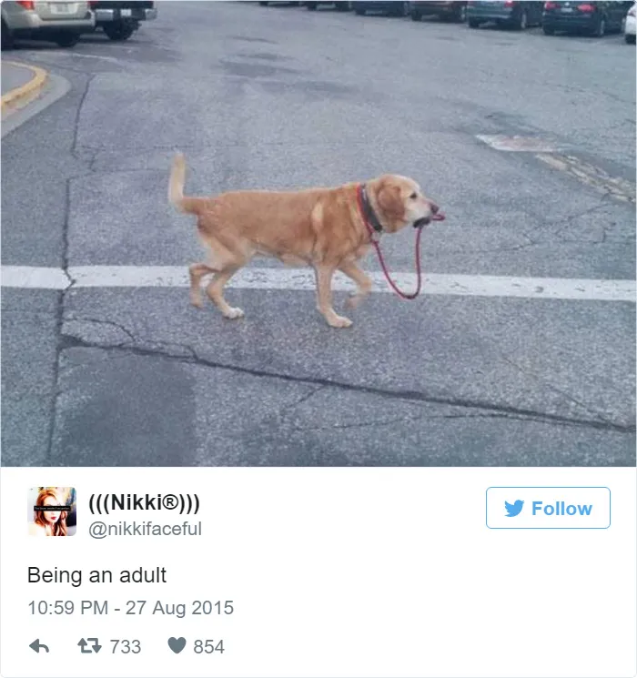 The Struggles Of 20-Somethings Summed Up In 57 Tweets