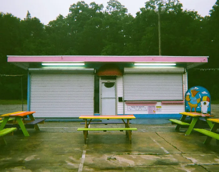 I Gave 100 Cameras To The Homeless And This Is What They Photographed.
