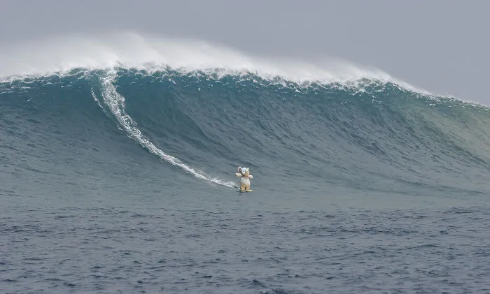 Catching Some Waves!