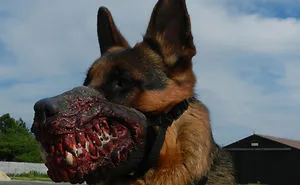 Halloween Zombie Dog Muzzle