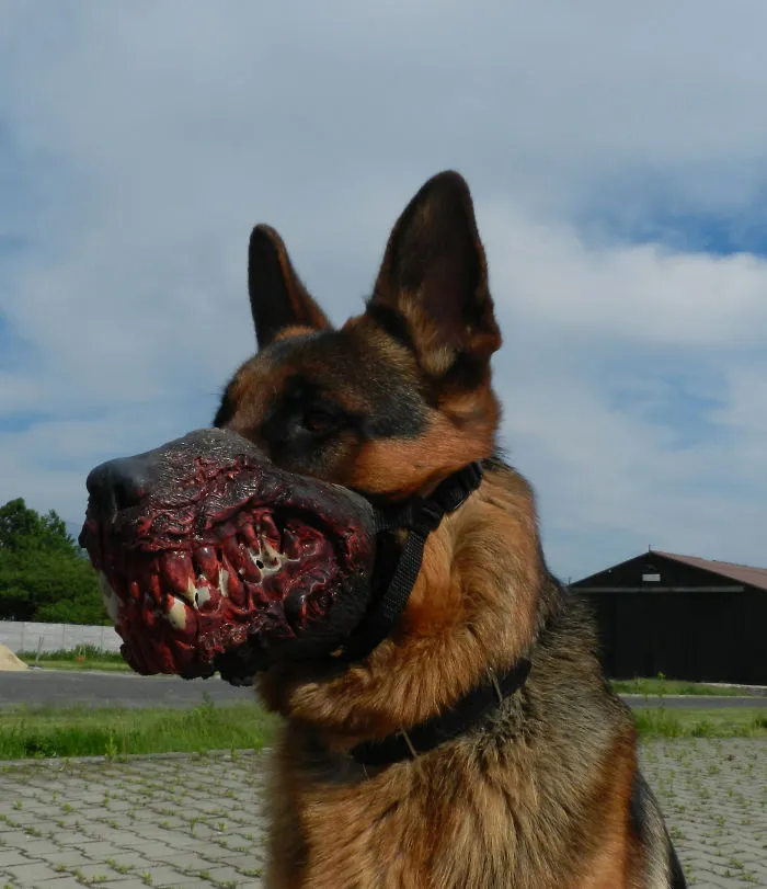 Halloween Zombie Dog Muzzle