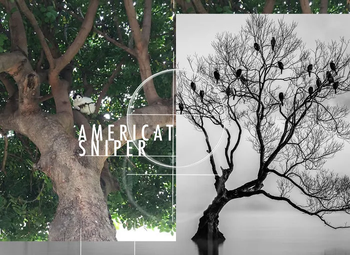 Americat  Sniper