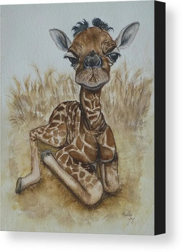 New Born Baby Giraffe Canvas Prints