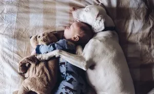 Our Rescue Puppy Is The Best Sleeping Buddy To Our 8-Month-Old Son