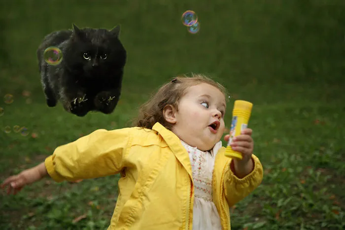 Bubble Cat