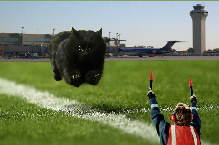 Catairways