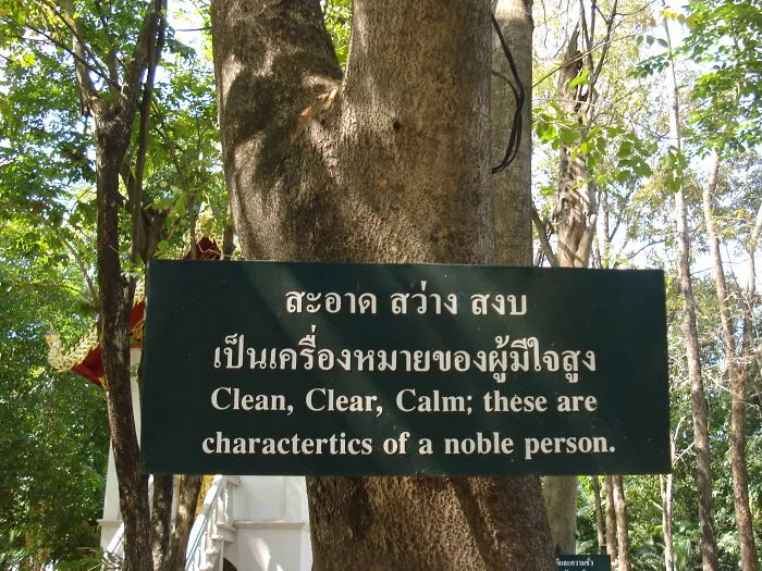 52 Inspiring Buddhist Sayings On Life