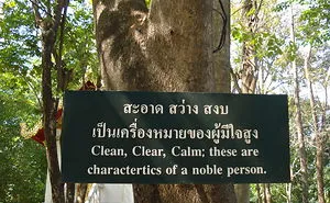 52 Inspiring Buddhist Sayings On Life