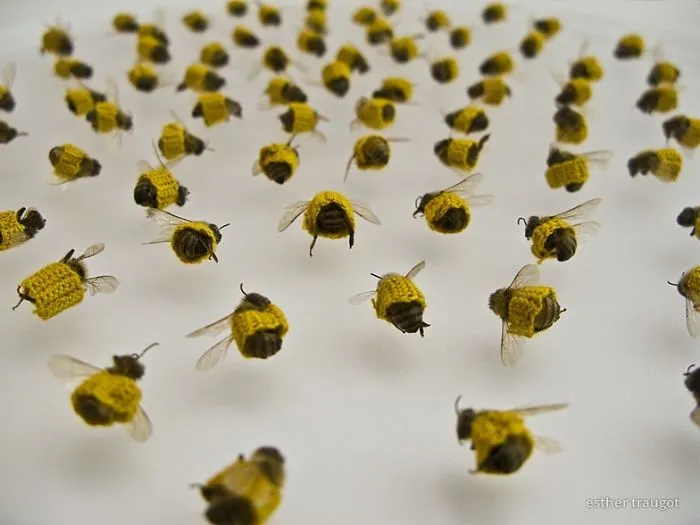 Artist Crochets Tiny Sweaters For Dead Bees