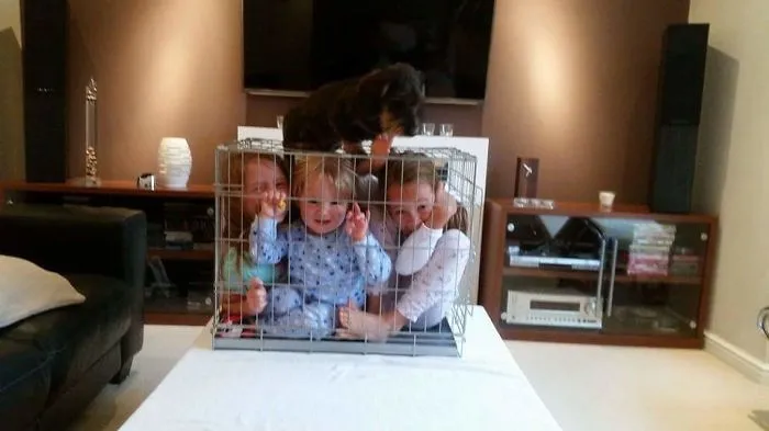 Three kids trapped inside a large pet cage in living room