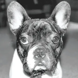 Frank