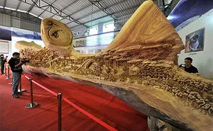 It Looks Like An Old Rotten Tree Trunk… But Look A Little Closer