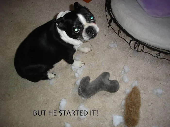 But He Started It!!