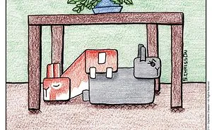 When Your Bonded Rescue Bunnies Have A More Complicated Relationship Than You Do