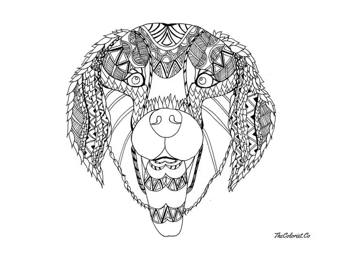 I Create Intricate Line Drawings Of Dogs