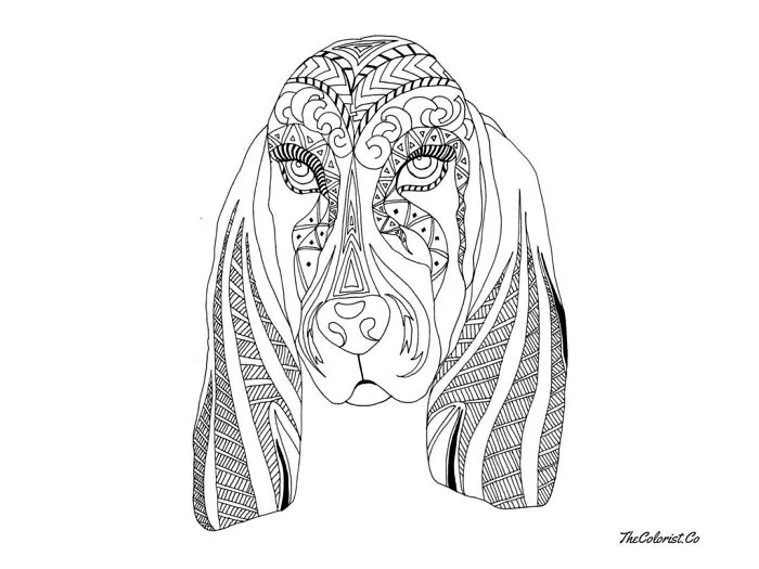I Create Intricate Line Drawings Of Dogs