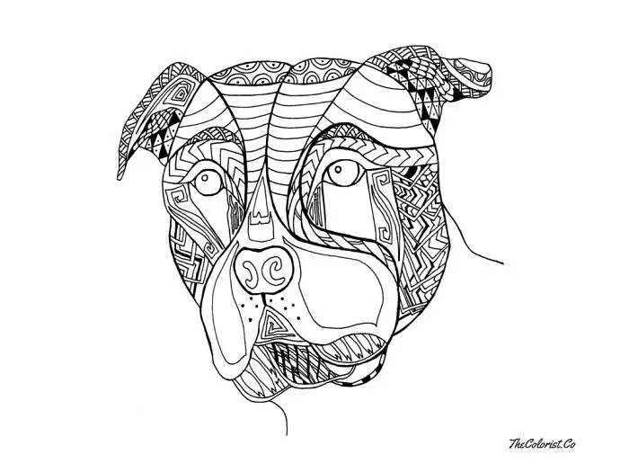 I Create Intricate Line Drawings Of Dogs
