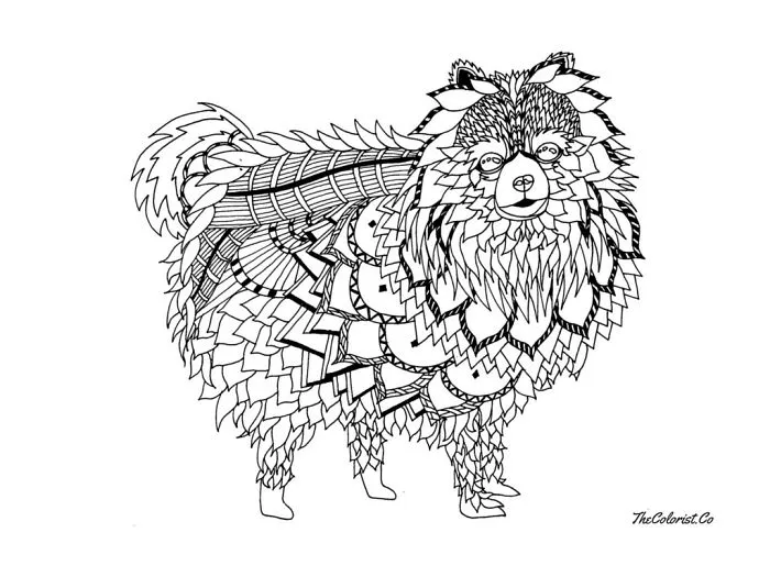 I Create Intricate Line Drawings Of Dogs