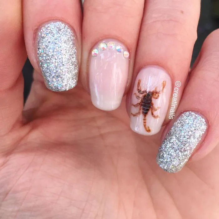 Scorpion