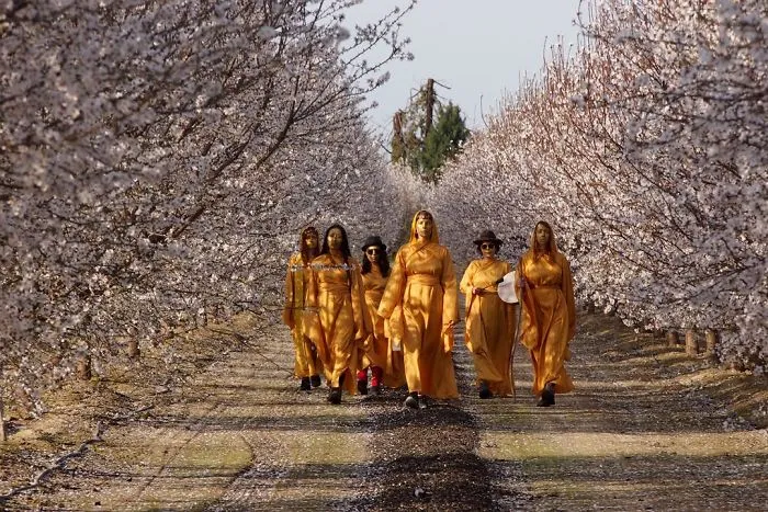 I Walked 100 Miles On Foot To Save The Honeybee!