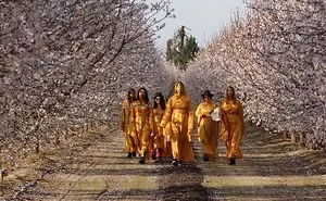 I Walked 100 Miles On Foot To Save The Honeybee!