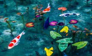 'Monet's Pond' In Japan That Looks Like Monet's Paintings