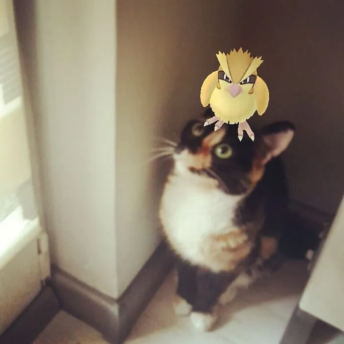 Well, Hello There