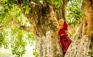 A Peek Into Buddhist Monasticism In Bhutan