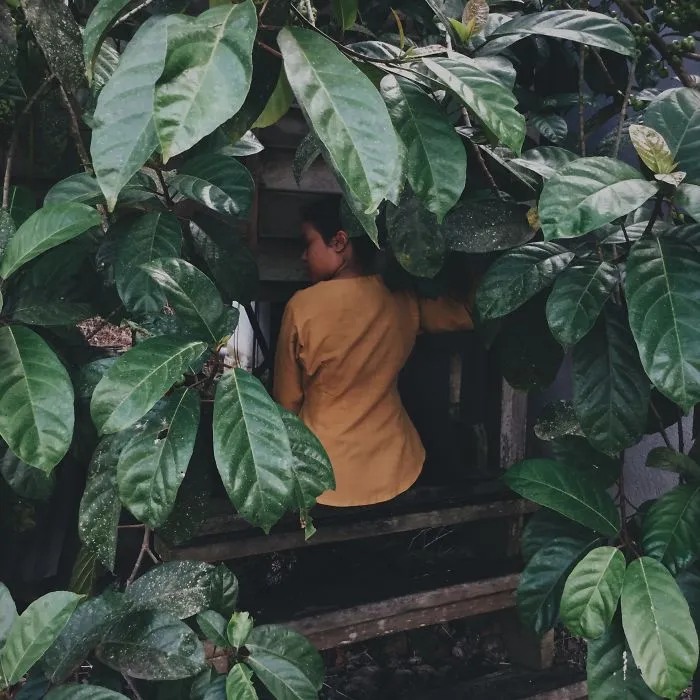 Nasib Anak Dara Hayati