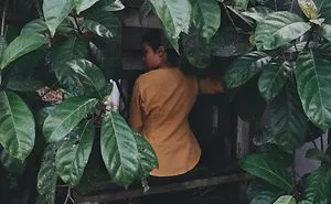 Nasib Anak Dara Hayati