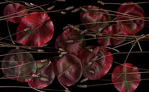 I Use My Scanner To Immortalize Leaves And Flowers