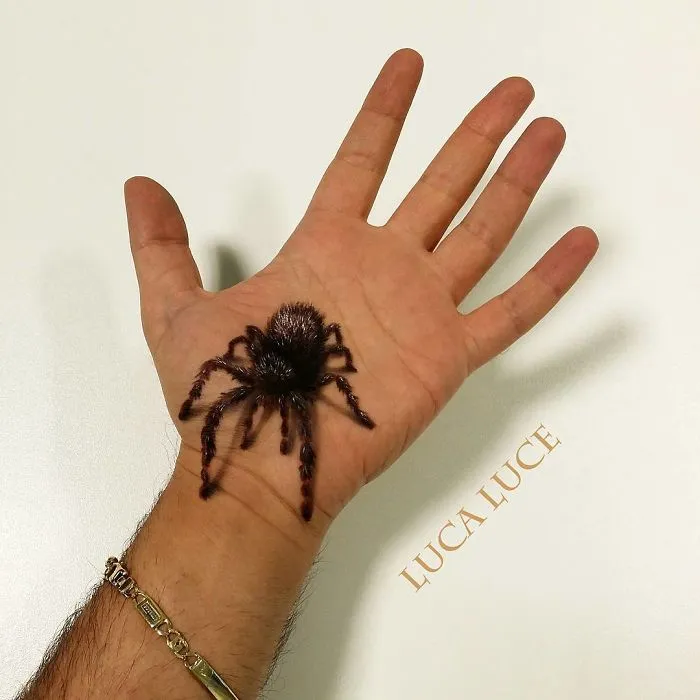 Mind-Bending 3D Optical Illusions On The Palm Of My Hand (+ Bonus Panda)