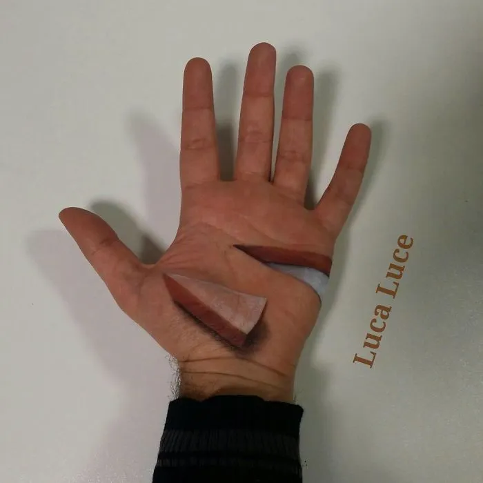 Mind-Bending 3D Optical Illusions On The Palm Of My Hand (+ Bonus Panda)