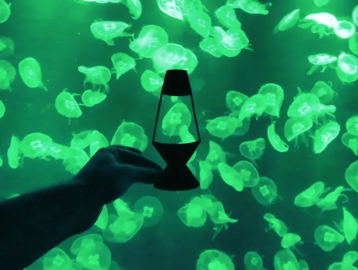 Lava Lamp, Ocean Park, Hong Kong