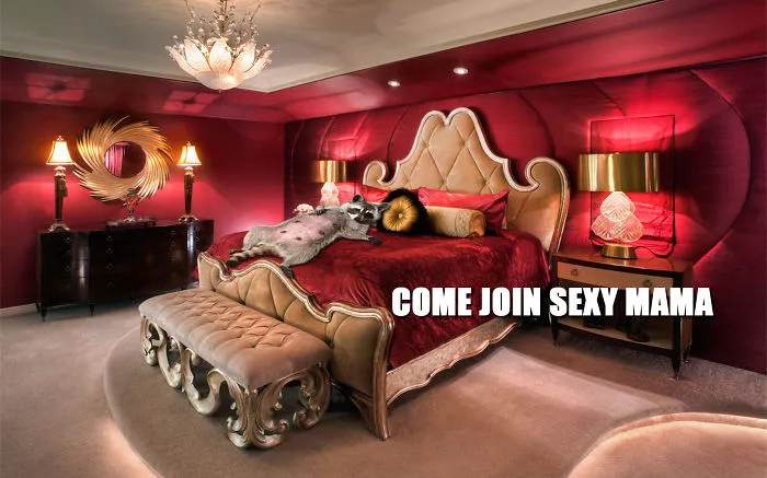 Join Mama