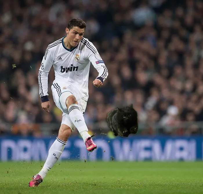 Ronaldoooo...