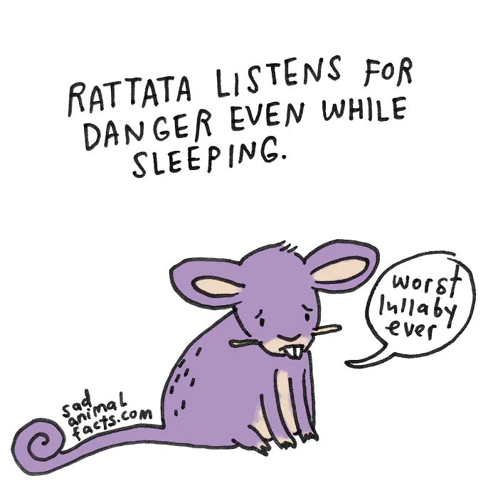 Rattata Sleeps With One Ear Open