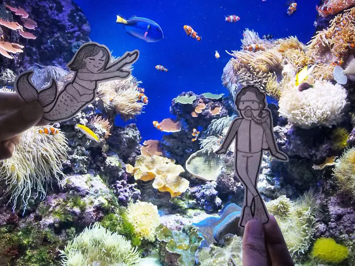 Abang & Neng Swam Underwater In Sea Aquarium Singapore