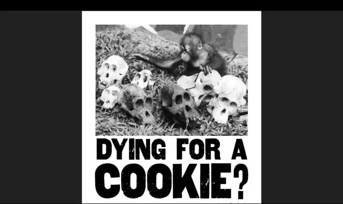 Palm Oil Death In Every Drop