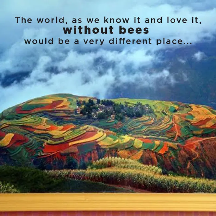 The World Without Bees
